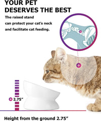 Elevated Ceramic Cat Bowl for Flat-Faced Cats and Small Dogs, Anti-Vomiting Design, Dishwasher Safe, 5 Inches, White
