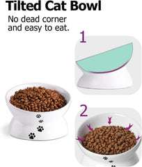Elevated Ceramic Cat Bowl for Flat-Faced Cats and Small Dogs, Anti-Vomiting Design, Dishwasher Safe, 5 Inches, White