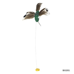 Rotating Electric Butterfly, Hummingbird