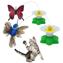 Rotating Electric Butterfly, Hummingbird