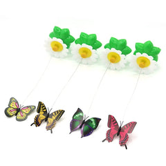 Rotating Electric Butterfly, Hummingbird