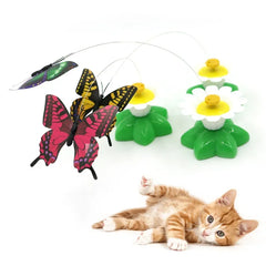 Rotating Electric Butterfly, Hummingbird