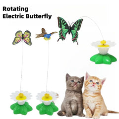 Rotating Electric Butterfly, Hummingbird