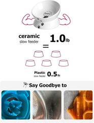 Elevated Ceramic Cat Bowl for Flat-Faced Cats and Small Dogs, Anti-Vomiting Design, Dishwasher Safe, 5 Inches, White